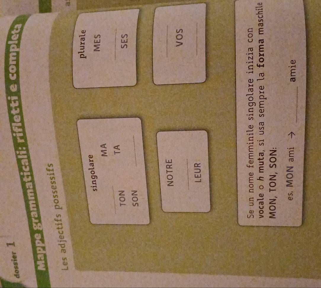 dossier 1 
Mappe grammaticali: rifletti e completa 
Les adjectifs possessifs 
a 
plurale 
singolare 
MES 
_ 
MA 
TA 
_ 
TON SES 
SON 
_ 
NOTRE 
_ 
vos 
_ 
_ 
LEUR 
_ 
Se un nome femminile singolare inizia con 
vocale o h muta, si usa sempre la forma maschile 
MON, TON, SON: 
es. MON ami _amie