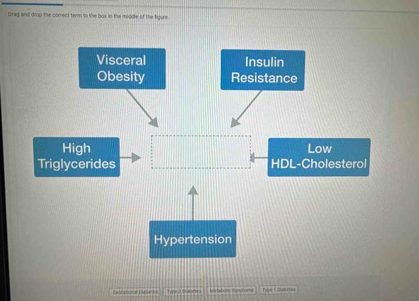 Drag and drop the correct term to the box in the middle of the figure.
Visceral Insulin
Obesity Resistance
High Low
Triglycerides HDL-Cholesterol
Hypertension
Gestational Diabetes Type 2 Diabetes Metabolic Syndrome Type 1 Diabetes