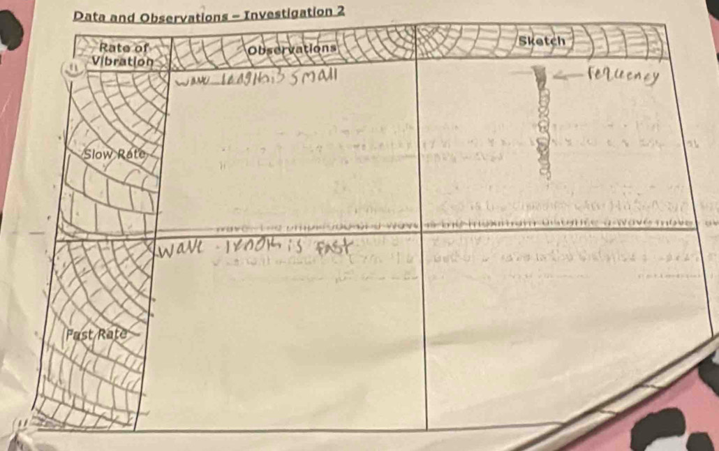 Data and Observations - Investigation 2