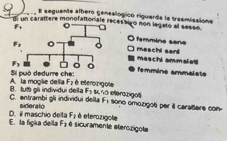 seguente albero genealogico riguarda la trasmissione
di un carattere monofattoriale recessivo non legato al sesso.
femmine san
maschi sani
maschi ammalat 
femmine ammalat= 
Si può dedurre che:
A. la moglie della F_2 é eterozigole
B. tutti gli individui della F_3 sc no eterozigoti
C. entrambi gli individui della F_1 sono omozigoti per il carattere con-
sideralo
D. il maschio della F_2 é eterozigote
E. la fgla della F_2 é sicuramente eterozigote