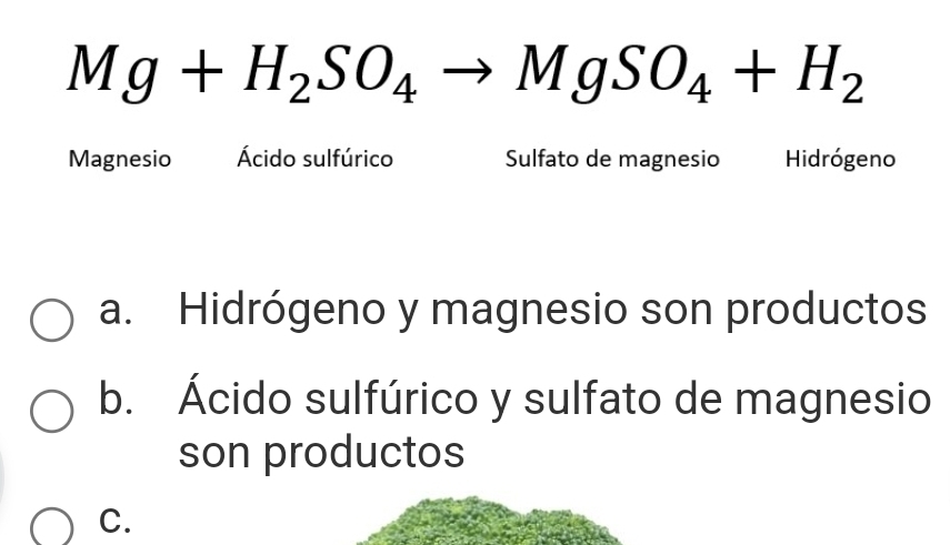 Mg+H_2SO_4to MgSO_4+H_2
Magnesio Ácido sulfúrico Sulfato de magnesio Hidrógeno
a. Hidrógeno y magnesio son productos
b. Ácido sulfúrico y sulfato de magnesio
son productos
C.