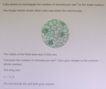 Laila wishes to investigate the number of stomata per mm^2 on the lower surface 
The image below shows what Laila saw under the microscope. 
The radius of the field view was 0.056 mm. 
Calculate the number of stomata per mm^2. Give your answer to the nearest 
whole number. 
You may use:
π -3.14
Do not include the unit with your answer