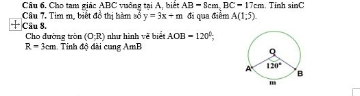 Cho tam giác ABC vuông tại A, biết AB=8cm,BC=17cm Tính sin C
Câu 7. Tìm m, biết đồ thị hàm sổ y=3x+m đi qua điểm A(1;5).
Câu 8.
Cho đường tròn (0;R) như hình vẽ biết AOB=120°;
R=3cm.. Tính độ dài cung AmB