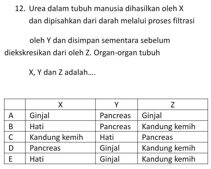 Urea dalam tubuh manusia dihasilkan oleh X
dan dipisahkan dari darah melalui proses filtrasi 
oleh Y dan disimpan sementara sebelum 
diekskresikan dari oleh Z. Organ-organ tubuh
X, Y dan Z adalah....