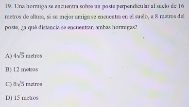 Una hormiga se encuentra sobre un poste perpendicular al suelo de 16
metros de altura, si su mejor amiga se encuentra en el suelo, a 8 metros del
poste, ¿a qué distancia se encuentran ambas hormigas?
A) 4sqrt(5) metros
B) 12 metros
C) 8sqrt(5) metros
D) 15 metros