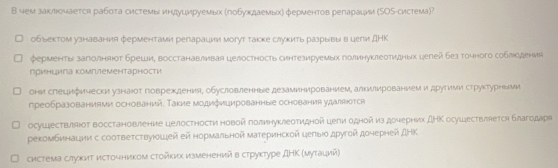 В чем закήочается рабоτа системыιиндуцмруемьх Κгоδухдаемьхή ферментов регарации (ΚΟS-система)?
обьектом узнавания ферментами регарации могут такке слукить разрывы в цели ДΗΚ
φерменты заπолняюοт бреши, восстанавливая целостность синтезируемых голинукееотидных целей без точного соблодения
гринцига комплементарности
они слецифически узнаюот говрехдения, обусловленные дезаминированием, алкилированием и друтими структурными
преобразованиями оснований. Τакие модифицированные основания удμяются
осушествляюόт восстановление целосΤносτи новой полинуклеотидной цееи одной из дочерних ДΗΚ осушествляется благодаря
рекомбинацιии с соотвеτствуюδшей ей нормальной материнской целыιδ дρугой дочерней дΗΚ
система слтужит источником стойких измененийв структуре ДΗΚ (муτаций)