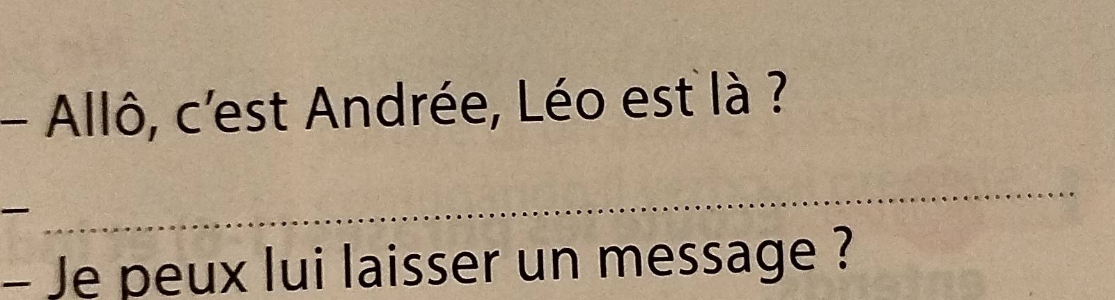 Allô, c'est Andrée, Léo est là ? 

_ 
- Je peux lui laisser un message ?