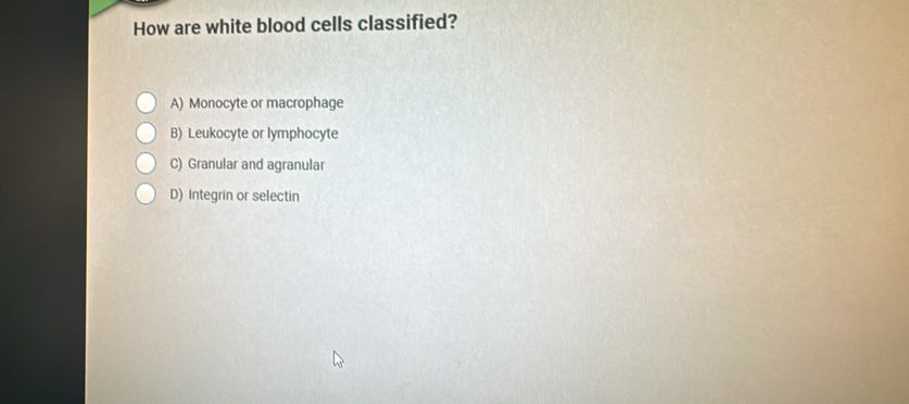 How are white blood cells classified?
A) Monocyte or macrophage
B) Leukocyte or lymphocyte
C) Granular and agranular
D) Integrin or selectin