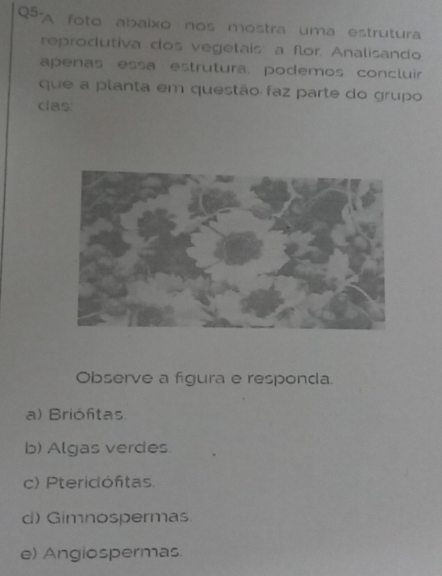 Q5- A foto abaixo nos mostra uma estrutura
reprodutiva dos vegetais: a flor. Analisando
apenas essa estrutura, podemos concluir
que a planta em questão faz parte do grupo
das:
Observe a figura e responda.
a) Briófitas
b) Algas verdes
c) Pteridóftas.
d) Gimnospermas.
e) Angiospermas.