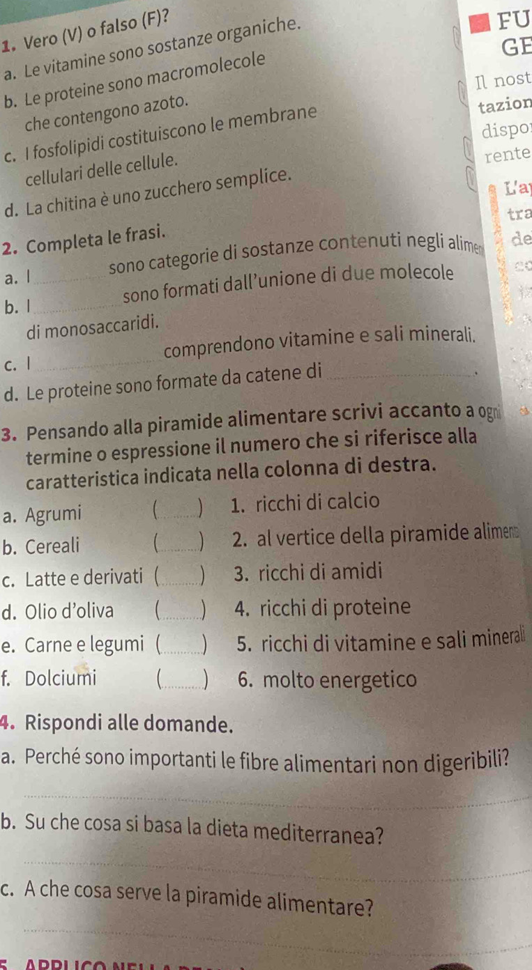 Vero (V) o falso (F)? 
a. Le vitamine sono sostanze organiche. 
FU 
GE 
b. Le proteine sono macromolecole 
Il nost 
che contengono azoto. 
dispo 
c. I fosfolipidi costituiscono le membrane 
tazion 
cellulari delle cellule. 
rente 
Lay 
d. La chitina è uno zucchero semplice. 
tra 
2. Completa le frasi. 

a. l_ 
sono categorie di sostanze contenuti negli alime de 
sono formati dall’unione di due molecole 
b. l_ 
di monosaccaridi. 
c. 1_ comprendono vitamine e sali minerali. 
d. Le proteine sono formate da catene di_ 
、 
3. Pensando alla piramide alimentare scrivi accanto a ogni 
termine o espressione il numero che si riferisce alla 
caratteristica indicata nella colonna di destra. 
a. Agrumi _  1. ricchi di calcio 
b. Cereali C_ ) 2. al vertice della piramide alimen 
c. Latte e derivati (_ ) 3. ricchi di amidi 
d. Olio d’oliva  _ 4. ricchi di proteine 
e. Carne e legumi (_ ) 5. ricchi di vitamine e sali minerali 
f. Dolciumi _ 6. molto energetico 
4. Rispondi alle domande. 
a. Perché sono importanti le fibre alimentari non digeribili? 
_ 
b. Su che cosa si basa la dieta mediterranea? 
_ 
c. A che cosa serve la piramide alimentare? 
_