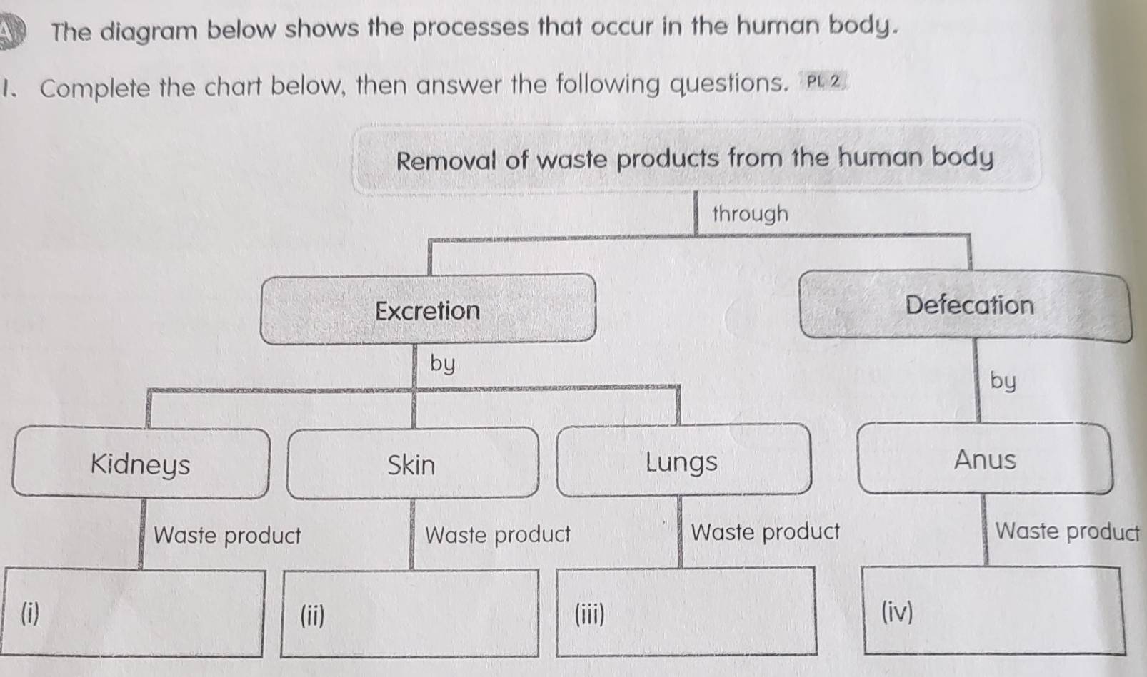 The diagram below shows the processes that occur in the human body. 
1、 Complete the chart below, then answer the following questions. 
Removal of waste products from the human body 
through 
Excretion Defecation 
by 
by 
Kidneys Skin Lungs Anus 
Waste product Waste product Waste product Waste product 
(i) (ii) (iii) (iv)