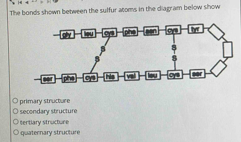 The bonds shown between the sulfur atoms in the diagram below show
primary structure
secondary structure
tertiary structure
quaternary structure