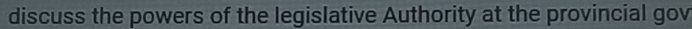 discuss the powers of the legislative Authority at the provincial gov