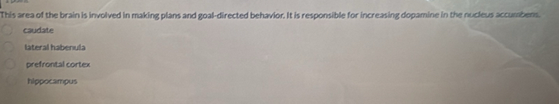 This area of the brain is involved in making plans and goal-directed behavior. It is responsible for increasing dopamine in the nucleus accumbens.
caudate
lateral habenula
prefrontal cortex
hippocampus