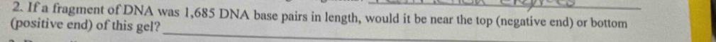 If a fragment of DNA was 1,685 DNA base pairs in length, would it be near the top (negative end) or bottom 
(positive end) of this gel?_
