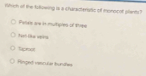 Which of the following is a characteriatic of monocot plants?
Pelals are in multiples of three
Ngó Cka vgna
Tapesot
Ringed vascular bundles