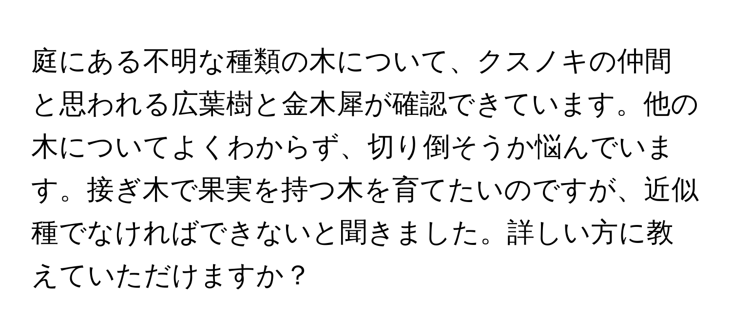 庭にある不明な種類の木について、クスノキの仲間と思われる広葉樹と金木犀が確認できています。他の木についてよくわからず、切り倒そうか悩んでいます。接ぎ木で果実を持つ木を育てたいのですが、近似種でなければできないと聞きました。詳しい方に教えていただけますか？