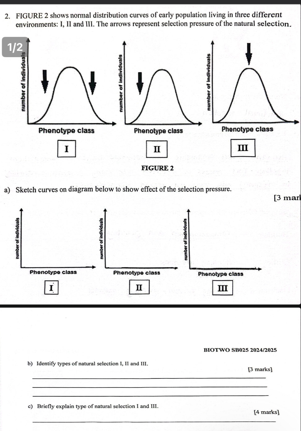 FIGURE 2 shows normal distribution curves of early population living in three different 
environments: I, II and III. The arrows represent selection pressure of the natural selection. 
I III 
II 
FIGURE 2 
a) Sketch curves on diagram below to show effect of the selection pressure. 
[3 marl 
Ⅱ 
I III 
BIOTWO SB025 2024/2025 
b) Identify types of natural selection I, II and III. 
[3 marks] 
_ 
_ 
_ 
c) Briefly explain type of natural selection I and III. 
[4 marks] 
_