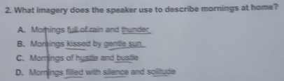 What imagery does the speaker use to describe mornings at home?
A. Momings full of rain and thunder
B. Momings kissed by gentle sun
C. Momings of hustle and bustle
D. Momings filled with silence and solitude