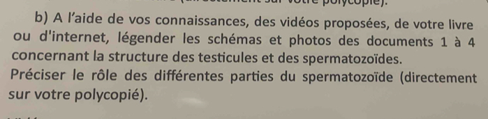 ycopley 
b) A l'aide de vos connaissances, des vidéos proposées, de votre livre 
ou d'internet, légender les schémas et photos des documents 1 à 4
concernant la structure des testicules et des spermatozoïdes. 
Préciser le rôle des différentes parties du spermatozoïde (directement 
sur votre polycopié).