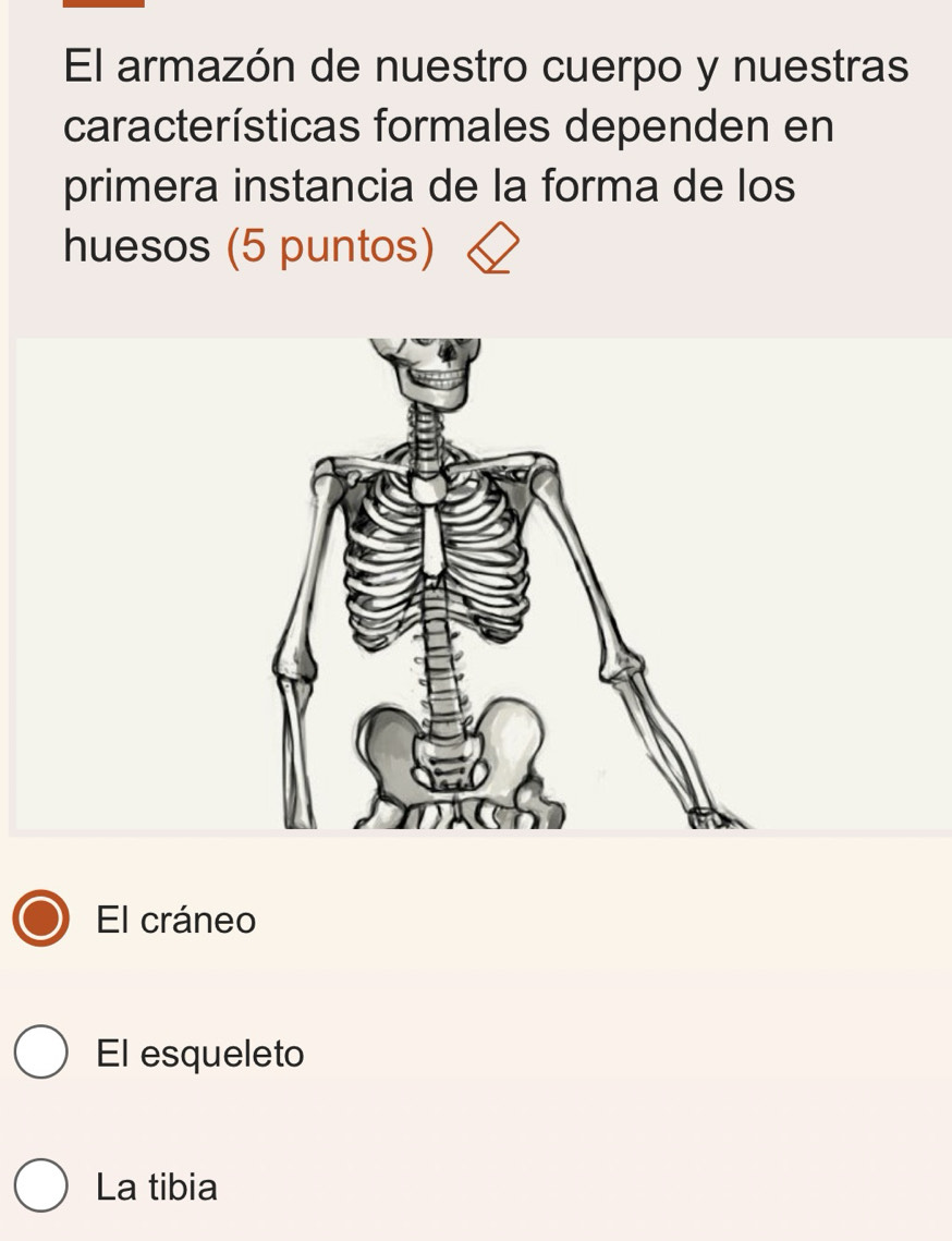 El armazón de nuestro cuerpo y nuestras
características formales dependen en
primera instancia de la forma de los
huesos (5 puntos)
El cráneo
El esqueleto
La tibia