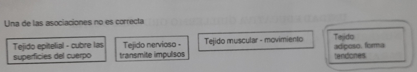 Una de las asociaciones no es correcta
Tejido epitelial - cubre las Tejido nervioso - Tejido muscular - movimiento
Tejido
superficies del cuerpo transmite impulsos tendones adiposo. forma