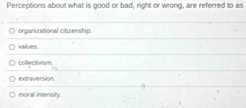 Perceptions about what is good or bad, right or wrong, are referred to as
organizational citizenship.
values.
collectivism.
extraversion.
moral intensity.