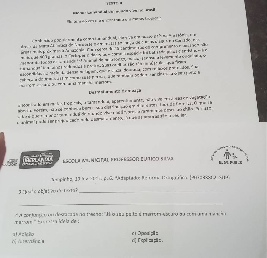 TEXTO II
Menor tamanduá do mundo vive no Brasil
Ele tem 45 cm e é encontrado em matas tropicais
Conhecido popularmente como tamanduaí, ele vive em nosso país na Amazônia, em
áreas da Mata Atlântica do Nordeste e em matas ao longo de cursos d’água no Cerrado, nas
áreas mais próximas à Amazônia. Com cerca de 45 centímetros de comprimento e pesando não
mais que 400 gramas, o Cyclopes didactylus - como a espécie foi batizada pelos cientistas - é o
menor de todos os tamanduás! Animal de pelo longo, macio, sedoso e levemente ondulado, o
tamanduaí tem olhos redondos e pretos. Suas orelhas são tão minúsculas que ficam
escondidas no meio da densa pelagem, que é cinza, dourada, com reflexos prateados. Sua
cabeça é dourada, assim como suas pernas, que também podem ser cinza. Já o seu peito é
marrom-escuro ou com uma mancha marrom.
Desmatamento é ameaça
Encontrado em matas tropicais, o tamanduaí, aparentemente, não vive em áreas de vegetação
aberta. Porém, não se conhece bem a sua distribuição em diferentes tipos de floresta. O que se
sabe é que o menor tamanduá do mundo vive nas árvores e raramente desce ao chão. Por isso,
o animal pode ser prejudicado pelo desmatamento, já que as árvores são o seu lar.
Prefeitura de E S  
EDUCAção FAZER MAIS. FAZER BEM. UBERLANDIA ESCOLA MUNICIPAL PROFESSOR EURICO SILVA E.M.P.E.S
Tempinho, 19 fev. 2011. p. 6. *Adaptado: Reforma Ortográfica. (P070388C2_SUP)
3 Qual o objetivo do texto?_
_
4 A conjunção ou destacada no trecho: "Já o seu peito é marrom-escuro ou com uma mancha
marrom.'' Expressa ideia de :
a) Adição c) Oposição
b) Alternância d) Explicação.