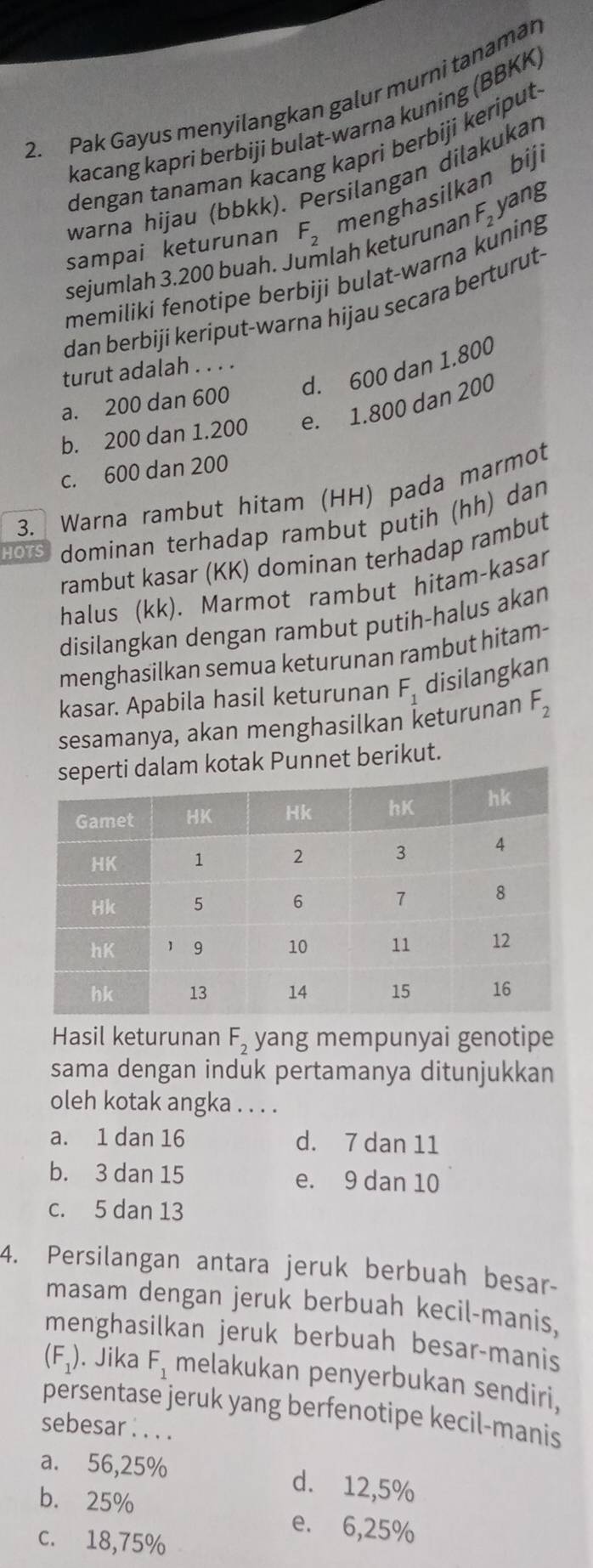 Pak Gayus menyilangkan galur murni tanamän
kacang kapri berbiji bulat-warna kuning (BBKK)
dengan tanaman kacang kapri berbiji keriput
warna hijau (bbkk). Persilangan dilakukan
menghasilkan bij.
ang
sampai keturunan F_2
sejumlah 3.200 buah. Jumlah keturunan F_2.
memiliki fenotipe berbiji bulat-warna kuning
dan berbiji keriput-warna hijau secara berturut-
d. 600 dan 1.800
turut adalah . . . .
a. 200 dan 600
b. 200 dan 1.200 e. 1.800 dan 200
c. 600 dan 200
3.  Warna rambut hitam (HH) pada marmot
HOTS dominan terhadap rambut putih (hh) dan
rambut kasar (KK) dominan terhadap rambut
halus (kk). Marmot rambut hitam-kasar
disilangkan dengan rambut putih-halus akan
menghasilkan semua keturunan rambut hitam-
kasar. Apabila hasil keturunan F_1 disilangkan
sesamanya, akan menghasilkan keturunan F_2
ak Punnet berikut.
Hasil keturunan F_2 yang mempunyai genotipe
sama dengan induk pertamanya ditunjukkan
oleh kotak angka . . . .
a. 1 dan 16 d. 7 dan 11
b. 3 dan 15 e. 9 dan 10
c. 5 dan 13
4. Persilangan antara jeruk berbuah besar-
masam dengan jeruk berbuah kecil-manis,
menghasilkan jeruk berbuah besar-manis
(F_1) ). Jika F_1 melakukan penyerbukan sendiri,
persentase jeruk yang berfenotipe kecil-manis
sebesar . . . .
a. 56,25% d. 12,5%
b. 25% e. 6,25%
c. 18,75%