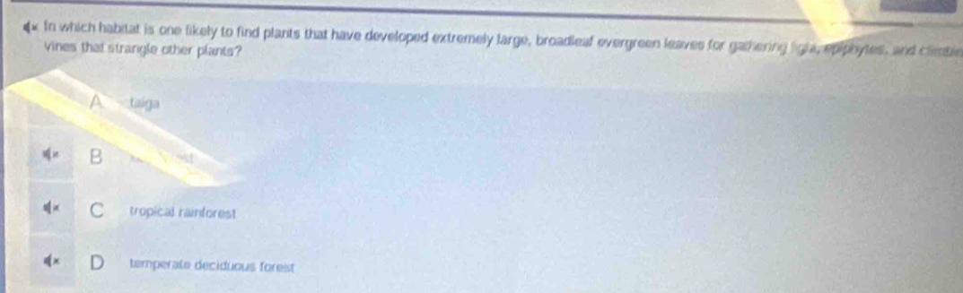 In which habitat is one likely to find plants that have developed extremely large, broadleaf evergreen leaves for gamering ligla, epiphytes, and climble
vines that strangle other plants?
taiga
B
tropical rainforest
temperate deciduous forest