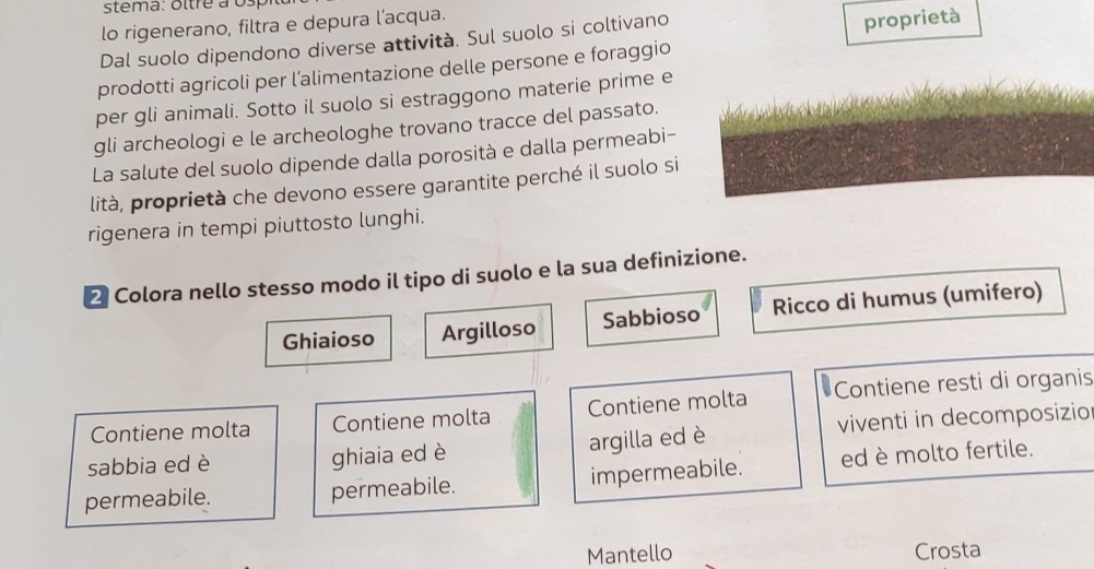 stema: oltre à 0sp
lo rigenerano, filtra e depura l’acqua.
Dal suolo dipendono diverse attività. Sul suolo si coltivano
proprietà
prodotti agricoli per l’alimentazione delle persone e foraggio
per gli animali. Sotto il suolo si estraggono materie prime e
gli archeologi e le archeologhe trovano tracce del passato.
La salute del suolo dipende dalla porosità e dalla permeabi-
lità, proprietà che devono essere garantite perché il suolo si
rigenera in tempi piuttosto lunghi.
2 Colora nello stesso modo il tipo di suolo e la sua definizione.
Ghiaioso Argilloso Sabbioso Ricco di humus (umifero)
Contiene molta Contiene molta Contiene molta Contiene resti di organis
sabbia ed è ghiaia ed è argilla ed è viventi in decomposizio
permeabile. permeabile. impermeabile. ed è molto fertile.
Mantello Crosta