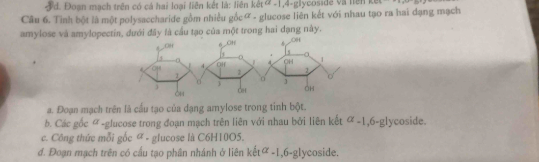 3d. Đoạn mạch trên có cả hai loại liên kết là: liên kết u= 1,4-glycoside và nện
Câu 6. Tinh bột là một polysaccharide gồm nhiều gốcữ - glucose liên kết với nhau tạo ra hai dạng mạch
amylose và amylopectin, dưới đây là cầu tạo của một trong hai dạng này.
a. Đoạn mạch trên là cấu tạo của dạng amylose trong tinh bột.
b. Các gốc α -glucose trong đoạn mạch trên liên với nhau bởi liên kết alpha -1, 6-g1 ycoside.
c. Công thức mỗi gốc ∝ - glucose là C6H10O5.
d. Đoạn mạch trên có cấu tạo phân nhánh ở liên kết alpha -1, 6-g lycoside.