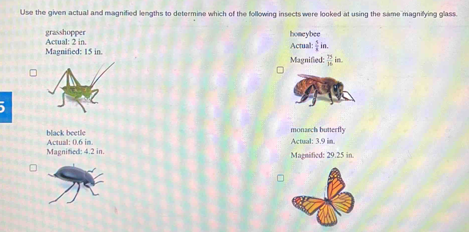 Use the given actual and magnified lengths to determine which of the following insects were looked at using the same magnifying glass.
grasshopper honeybee
Actual: 2 in. Actual:  5/8 in. 
Magnified: 15 in.
Magnified:  75/16 in. 
black beetle monarch butterfly
Actual: 0.6 in. Actual: 3.9 in.
Magnified: 4.2 in. Magnified: 29.25 in.