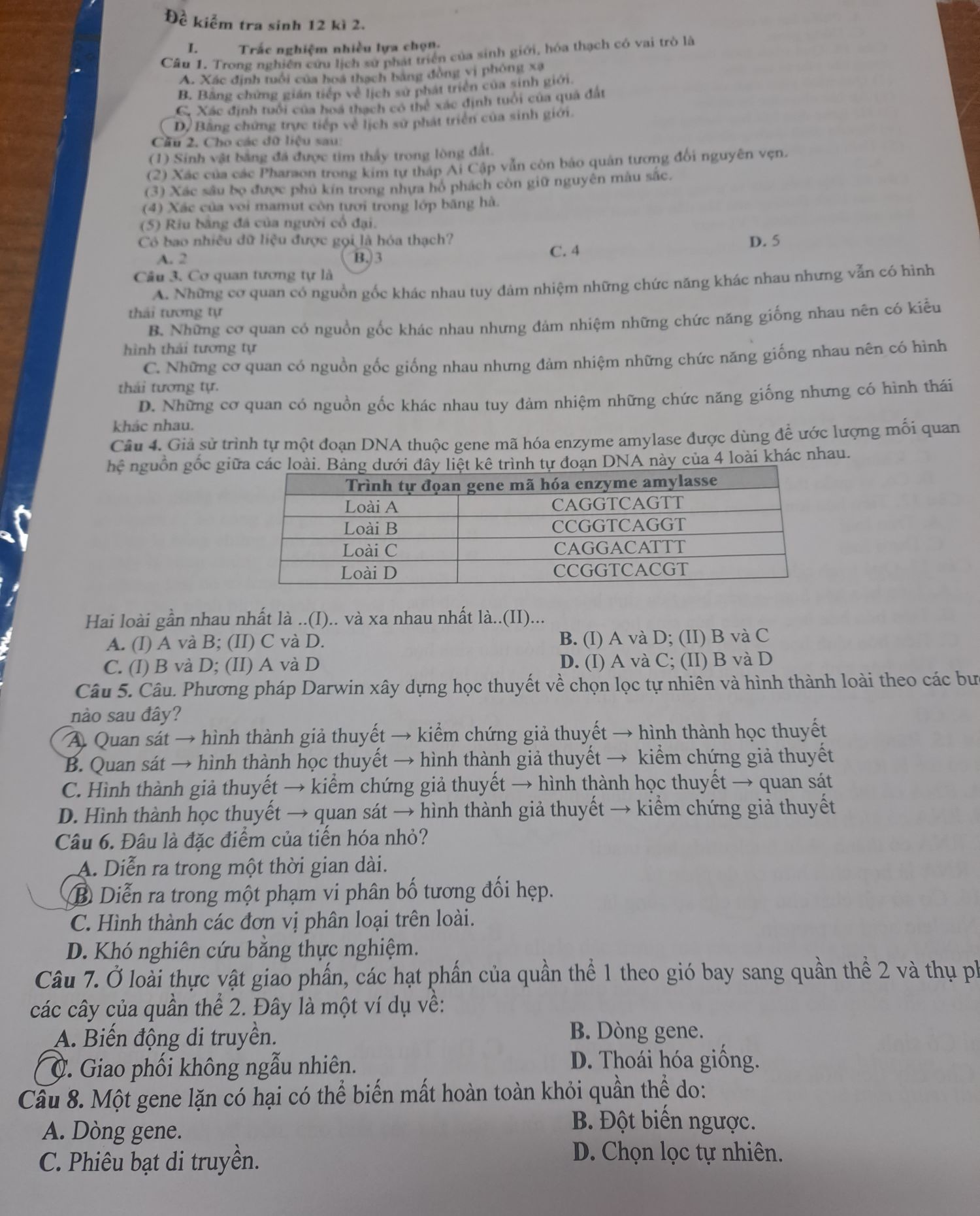 Đề kiểm tra sinh 12 kì 2.
L  Trắc nghiệm nhiều lựa chọn.
Câu 1. Trong nghiên cứu lịch sử phát triển của sinh giới, hóa thạch có vai trò là
A. Xác định tuổi của hoá thạch băng đồng vị phỏng xã
B. Băng chứng gián tiếp về lịch sử phát triển của sinh giới.
C. Xác định tuổi của hoa thạch có thể xác định tuổi của quả đất
D/ Bằng chứng trực tiếp về lịch sử phát triển của sinh giới.
Cầu 2. Cho các đữ liệu sau:
(1) Sinh vật bằng đá được tim thấy trong lòng đất.
(2) Xác của các Pharaon trong kim tự tháp Ai Cập vẫn còn bảo quân tương đổi nguyên vẹn.
(3) Xác sâu bọ được phú kín trong nhựa hỏ phách còn giữ nguyên màu sắc.
(4) Xác của voi mamut còn tươi trong lớp băng hà.
(5) Riu bằng đá của người cổ đại.
Có bao nhiều dữ liệu được gọi là hóa thạch? D. 5
A. 2 B. 3 C. 4
Câu 3. Cơ quan tương tự là
A. Những cơ quan có nguồn gốc khác nhau tuy đảm nhiệm những chức năng khác nhau nhưng vẫn có hình
thái tương tự
B. Những cơ quan có nguồn gốc khác nhau nhưng đảm nhiệm những chức năng giống nhau nên có kiểu
hình thái tương tự
C. Những cơ quan có nguồn gốc giống nhau nhưng đảm nhiệm những chức năng giống nhau nên có hình
thái tương tự.
D. Những cơ quan có nguồn gốc khác nhau tuy đảm nhiệm những chức năng giống nhưng có hình thái
khác nhau.
Câu 4. Giả sử trình tự một đoạn DNA thuộc gene mã hóa enzyme amylase được dùng để ước lượng mối quan
hhat c nguồn gốc giiệt kê trình tự đoạn DNA này của 4 loài khác nhau.
Hai loài gần nhau nhất là ..(I).. và xa nhau nhất là..(II)...
A. (I) A và B; (II) C và D. B. (I) A và D; (II) B và C
C. (I) B và D; (II) A và D D. (I) A và C; (II) B và D
Câu 5. Câu. Phương pháp Darwin xây dựng học thuyết về chọn lọc tự nhiên và hình thành loài theo các bư
nào sau đây?
A. Quan sát → hình thành giả thuyết → kiểm chứng giả thuyết → hình thành học thuyết
B. Quan sát → hình thành học thuyết → hình thành giả thuyết → kiểm chứng giả thuyết
C. Hình thành giả thuyết → kiểm chứng giả thuyết → hình thành học thuyết → quan sát
D. Hình thành học thuyết → quan sát → hình thành giả thuyết → kiểm chứng giả thuyết
Câu 6. Đâu là đặc điểm của tiến hóa nhỏ?
A. Diễn ra trong một thời gian dài.
B Diễn ra trong một phạm vi phân bố tương đối hẹp.
C. Hình thành các đơn vị phân loại trên loài.
D. Khó nghiên cứu bằng thực nghiệm.
Câu 7. Ở loài thực vật giao phần, các hạt phần của quần thể 1 theo gió bay sang quần thể 2 và thụ ph
các cây của quần thể 2. Đây là một ví dụ về:
A. Biến động di truyền.
B. Dòng gene.
Ở. Giao phối không ngẫu nhiên.
D. Thoái hóa giồng.
Câu 8. Một gene lặn có hại có thể biến mất hoàn toàn khỏi quần thể do:
A. Dòng gene.
B. Đột biến ngược.
C. Phiêu bạt di truyền.
D. Chọn lọc tự nhiên.