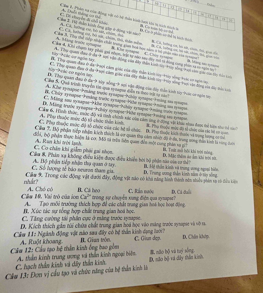 Điểm:
9 10 11 12 13
_
14 15 16 17 18 19
Câu 1. Phản xạ của động vật có hệ thần kinh lưới khi bị kích thích là
20
A. Duỗi thẳng cơ thể, B. Co toàn bộ cơ thể.
Câu 2. Hệ thần kinh ống gặp ở động vật nào?
C. Di chuyền đi chỗ khác. D. Co ở phần cơ thể bị kích thích.
A. Cá, lưỡng cư, bò sát, chim, thú B. Cá, lưỡng cư, bò sát, chim, thú, giun đốt,
C. Cá, lưỡng cư, bò sát, chim, thú, thân mềm D. Cá, lưỡng cư, bò sát, chim, thú, giun tròn
A. Màng trước synapse B. Khe synapse C. Chùy synapse
Câu 3. Thụ thể tiếp nhận chất trung gian hoá học nằm ở bộ phận nào của synapse? D. Màng sau synapse
Câu 4. Khi chạm tay phải gai nhọn, trật tự nào sau dây mô tả dúng cụng phản xạ co ngón tay7
tủy→các cơ ngón tay.
A. Thụ quan đau ở da→ sợi vận động của dây thần kinh tủy→tủy sống→sợi cảm giác của dãy thần kinh
B. Thụ quan đau ở da→sợi cảm giác của dây thần kinh tủy→tủy sống→các cơ ngôn tay
tủy→các cơ ngón tay.
C. Thụ quan đau ở da→sợi cảm giác của dây thần kinh tủy→tủy sống→sợi vận động của dây thằn kinh
D. Thụ quan đau ở da→ tủy sống→ sợi vận động của dây thần kinh tủy→các cơ ngón tay.
Câu 5. Quá trình truyền tin qua synapse diễn ra theo trật tự nào?
A. Khe synapse➔màng trước synapse→chùy synapse→màng sau synapse.
B. Chùy synapse→màng trước synapse→khe synapse→màng sau synapse.
C. Màng sau synapse→khe synapse→chùy synapse→màng trước synapse.
D. Màng trước synapse→chùy synapse→khe synapse→màng sau synapse.
Câu 6. Hình thức, mức độ và tính chính xác của cảm ứng ở động vật khác nhau được thể hiện như thể nào?
A. Phụ thuộc mức độ tổ chức thần kinh. B. Phụ thuộc mức độ tổ chức của các hệ cơ quan.
C. Phụ thuộc mức độ tổ chức của các hệ tổ chức. D. Phụ thuộc kích thước và trọng lượng cơ thể.
Câu 7. Bộ phận tiếp nhận kích thích là cơ quan thụ cảm nhiệt độ ở da, trung ương thần kinh là vùng dưới
đồi, bộ phận thực hiện là cơ. Mô tả trên liên quan đến một cung phản xạ gì?
A. Run khi trời lạnh. B. Toát mồ hôi khi trời nóng.
C. Co chân khi giẫm phải gai nhọn. D. Mặc thêm áo ẩm khi trời rét.
Câu 8. Phản xạ không điều kiện được điều khiển bởi bộ phận nào của cơ thể?
A. Bộ phận tiếp nhận thụ quan ở tay. B. Hệ thần kinh và trung ương ngoại biên.
C. Số lượng tế bào neuron tham gia. D. Trung ương thần kinh nằm ở tủy sống.
Câu 9. Trong các động vật dưới đây, động vật nào có khả năng hình thành nên nhiều phản xạ có điều kiện
nhất?
A. Chó cỏ B. Cá heo C. Rắn nước D. Cá đuối
Câu 10. Vai trò của ion Ca^(2+) trong sự chuyển xung điện qua synapse?
A. Tạo môi trường thích hợp để các chất trung gian hoá học hoạt động.
B. Xúc tác sự tổng hợp chất trung gian hoá học.
C. Tăng cường tái phân cực ở màng trước synapse.
D. Kích thích gắn túi chứa chất trung gian họá học vào màng trước synapse và vỡ ra..
Câu 11: Ngành động vật nào sau đây có hệ thần kinh dạng lưới?
A. Ruột khoang. B. Giun tròn. C. Giun dẹp. D. Chân khớp.
Cầu 12: Cấu tạo hệ thần kinh ống bao gồm
A. thần kinh trung ương và thần kinh ngoại biên. B. não bộ và tuỷ sống.
C. hạch thần kinh và dây thần kinh. D. não bộ và dây thần kinh.
Câu 13: Đơn vị cấu tạo và chức năng của hệ thần kinh là