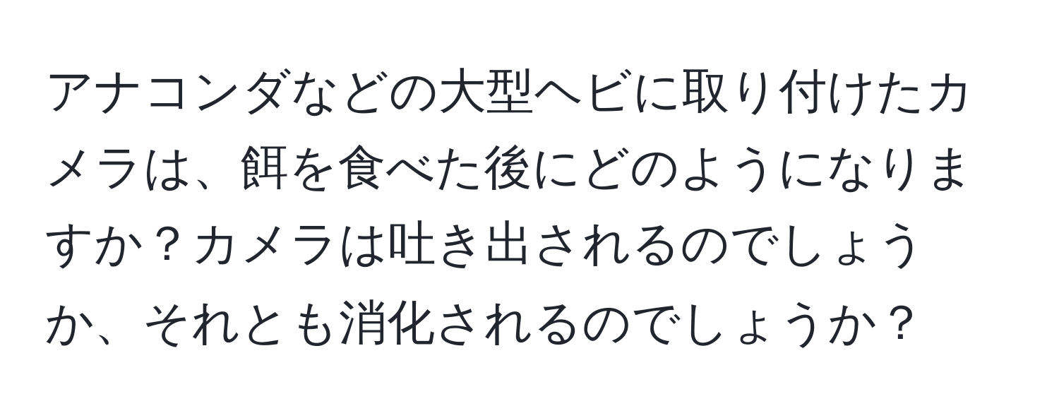 アナコンダなどの大型ヘビに取り付けたカメラは、餌を食べた後にどのようになりますか？カメラは吐き出されるのでしょうか、それとも消化されるのでしょうか？