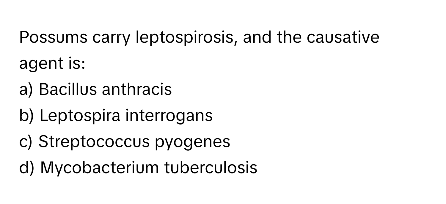 Possums carry leptospirosis, and the causative agent is:

a) Bacillus anthracis 
b) Leptospira interrogans 
c) Streptococcus pyogenes 
d) Mycobacterium tuberculosis