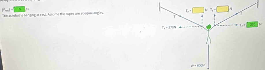 |F_net|= QN
The acrobat is hanging at rest. Assume the ropes are at equal angles.