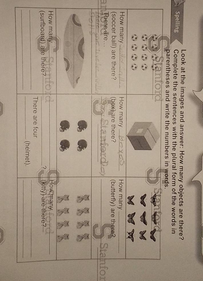 Look at the images and answer: How many objects are there? 
Spelling Complete the sentences with the plural form of the words in