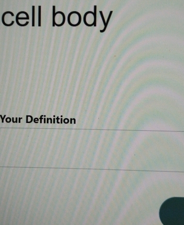 cell body 
Your Definition