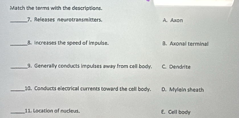 Match the terms with the descriptions.
_7. Releases neurotransmitters. A. Axon
_8. Increases the speed of impulse. B. Axonal terminal
_9. Generally conducts impulses away from cell body. C. Dendrite
_10. Conducts electrical currents toward the cell body. D. Mylein sheath
_11. Location of nucleus. E. Cell body