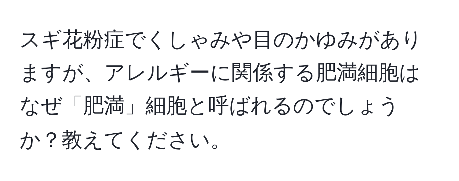 スギ花粉症でくしゃみや目のかゆみがありますが、アレルギーに関係する肥満細胞はなぜ「肥満」細胞と呼ばれるのでしょうか？教えてください。