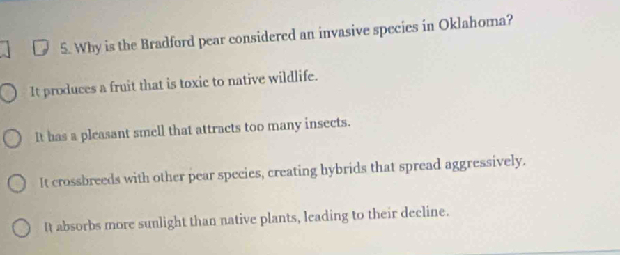 Why is the Bradford pear considered an invasive species in Oklahoma?
It produces a fruit that is toxic to native wildlife.
It has a pleasant smell that attracts too many insects.
It crossbreeds with other pear species, creating hybrids that spread aggressively.
It absorbs more sunlight than native plants, leading to their decline.