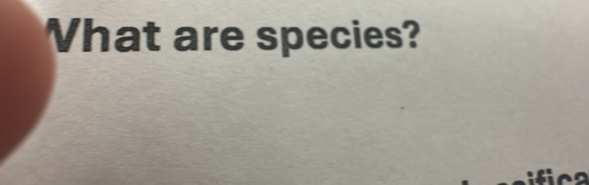 Vhat are species?