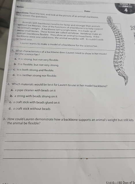 WEEK 
_
Date:_
4
s rections: Read the text, and look at the picture of an animal's backbone.
con, answer the questions.
Animals with backbones tend to be faster and stronger than animals
without backbones. One of the functions of a backbone is to help support
an animal's weight. A backbone isn't a single bone. It is made up of
many small bones. These bones are called vertebrae. Vertebrae make an
animai's backbone flexible. They allow an animal to move freely. If the
or bend over. backbone were one solid bone, the animal would be stiff. It couldn't walk
Lauren wants to make a model of a backbone for the science fair.
w hat characteristics of a backbone does Lauren need to show in her model
for the science fair
a.It is strong, but not very flexible.
b. it is flexible, but not very strong.
c. it is both strong and flexible.
d, it is neither strong nor flexible.
2. Which materials would be best for Lauren to use in her model backbone?
a a pipe cleaner with beads on it
b. a string with beads strung on it
c a craft stick with beads glued on it
d. a craft stick without beads
3. How could Lauren demonstrate how a backbone supports an animal's weight but still lets
the animal be flexible?
_
_
_
_
1410—180 Davs of S