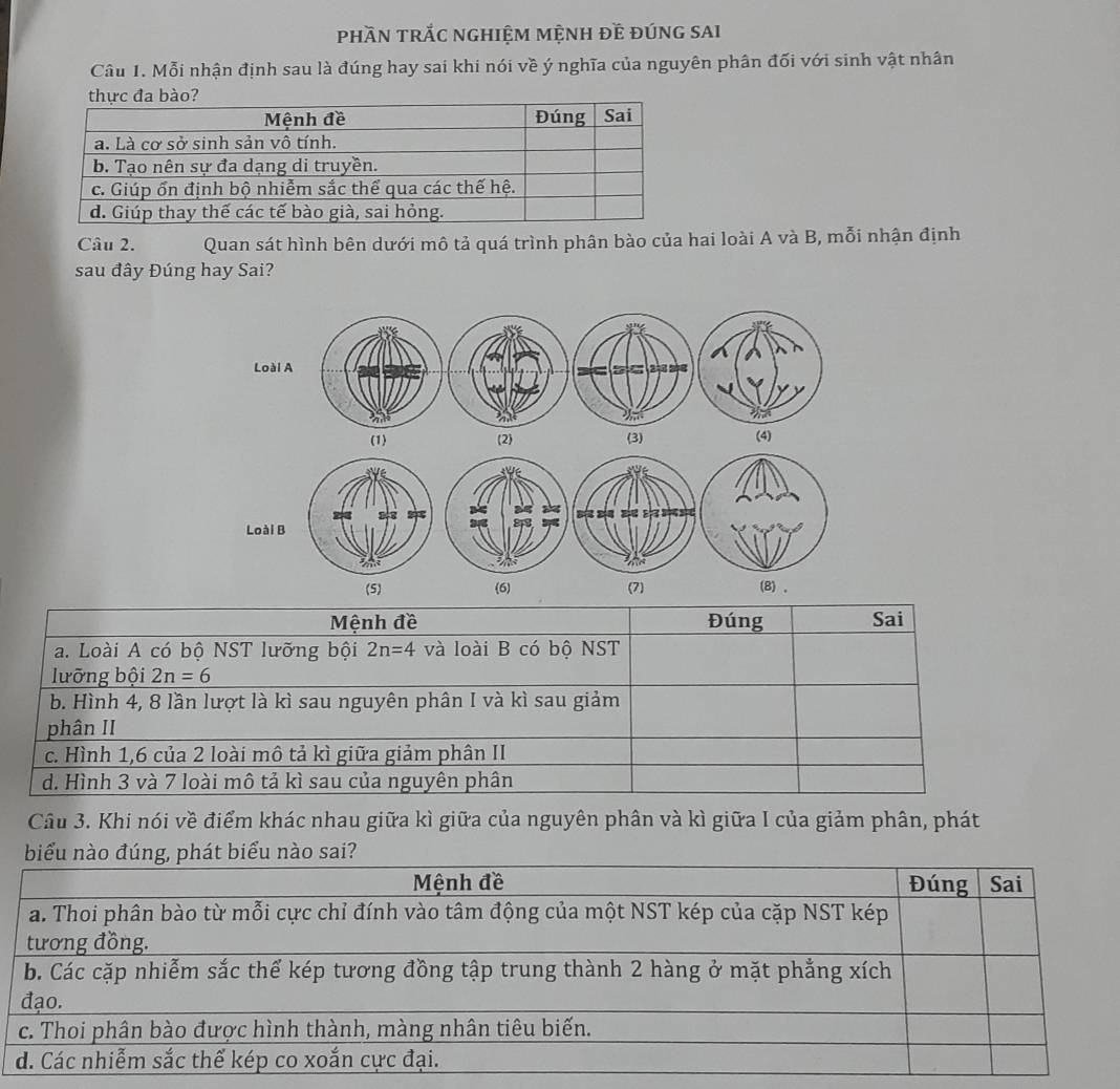 phầN trắC nghIệM mệnH đề đúnG SAI
Câu 1. Mỗi nhận định sau là đúng hay sai khi nói về ý nghĩa của nguyên phân đối với sinh vật nhân
Câu 2. Quan sát hình bên dưới mô tả quá trình phân bào của hai loài A và B, mỗi nhận định
sau đây Đúng hay Sai?
Loài A
(1) (2) (3) (4)
Loài B
(5) 6) (7) (8) 、
Mệnh đề Đúng Sai
a. Loài A có bộ NST lưỡng bội 2n=4 và loài B có bộ NST
lưỡng bội 2n=6
b. Hình 4, 8 lần lượt là kì sau nguyên phân I và kì sau giảm
phân II
c. Hình 1, 6 của 2 loài mô tả kì giữa giảm phân II
d. Hình 3 và 7 loài mô tả kì sau của nguyên phân
Câu 3. Khi nói về điểm khác nhau giữa kì giữa của nguyên phân và kì giữa I của giảm phân, phát