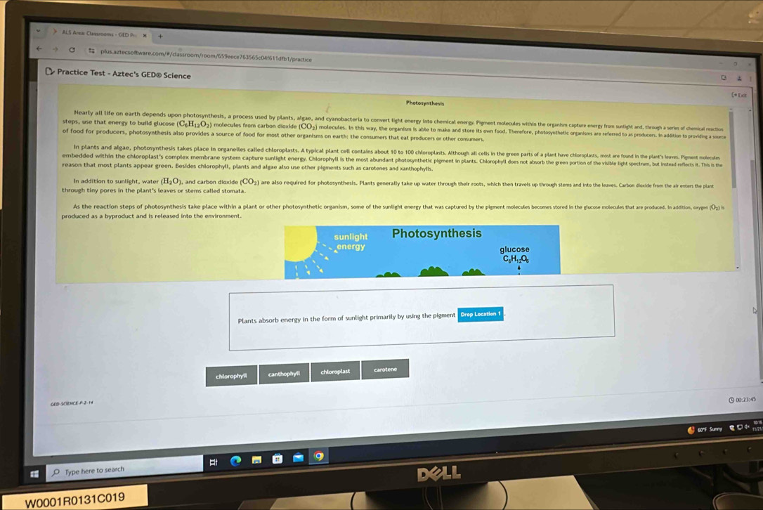ALS Area: Claasrooms - GED P M
$ plus.aztecsoftware.com/#/classroom/room/659eece763565c04f611dfb1/practice
Practice Test - Aztec's GED® Science
ζ+Exit
Photosynthesis
Nearly all life on earth depends upon photosynthesis, a process used by plants, algae, and cyanbacteria to convory light energ into chemial enry etmolecules wis hin the oraism cacauer er r munight an, though a series of chemical reaction
steps, use that energy to build glucose (C_6H_12O_2) molecules from carbon dioxide (CO₃) molecules. In this way, the organism is able to make and store its own food. Therefore, photosynthetic organisms are referred to as producers. In addition to providing a source
of food for producers, photosynthesis also provides a source of food for most other organisms on earth: the consumers that eat producers or other consumers.
In plants and algae, photosynthesis takes place in organelles called chloroplasts. A typical plant cell contains about 10 to 100 chloroplasts. Although all cells in the green parts of a plant have chloroplasts, most are found in the plant's leaves. Pigment moleculs
embedded within the chloroplast's complex membrane astem cauture sunligh eney. Chopli ost auau au budant hoot      th h e gee prtio h ile ectrun but instead refects it. This is the
reason that most plants appear green. Besides chlorophyll, plants and algae also use other pigments such as carotenes and xanthophylls.
In addition to sunlight, water (H_2O). , and carbon dioxide (CO_2) are also required for photosynthesis. Plants generally take up water through their roots, which then travels up through stems and into the leaves. Carbon dioxide from the air enters the plant
through tiny pores in the plant's leaves or stems called stomata.
As the reaction steps of photosynthesis take place within a plant or other photosynthetic organism, some of the sunlight energy that was captured by the pigment molecules becomes stored in the glucose molecules that are produced. In addition, orygen O_21
produced as a byproduct and is released into the environment.
sunlight Photosynthesis
energy glucose
Plants absorb energy in the form of sunlight primarily by using the pigment Drop Lecation 1
chlorophyll canthophyll chloroplast carotene
00:23:45
GED SCIENCE P-2. 14
4 60°F Sunny □ 4
Type here to search
W0001R0131C019