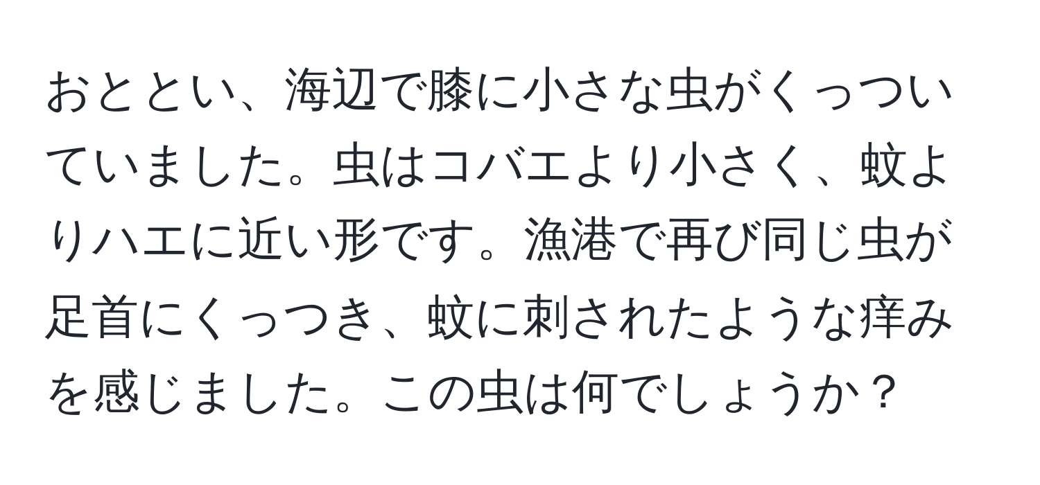 おととい、海辺で膝に小さな虫がくっついていました。虫はコバエより小さく、蚊よりハエに近い形です。漁港で再び同じ虫が足首にくっつき、蚊に刺されたような痒みを感じました。この虫は何でしょうか？