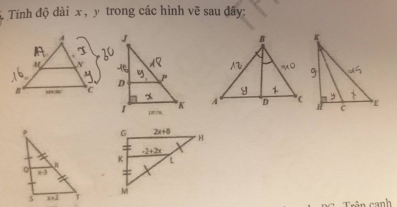 Tính độ dài x , y trong các hình vẽ sau đây:
 
Trên canh