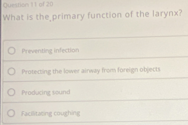 What is the primary function of the larynx?
Preventing infection
Protecting the lower airway from foreign objects
Producing sound
Facilitating coughing